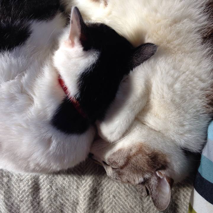 579ce1c3 9289 41d0 bcee 62afcfddaef3