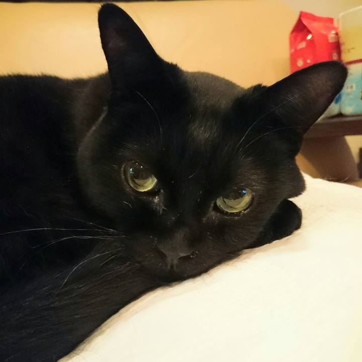 579f2ab0 8791 439b ab18 0b5782fe8c18