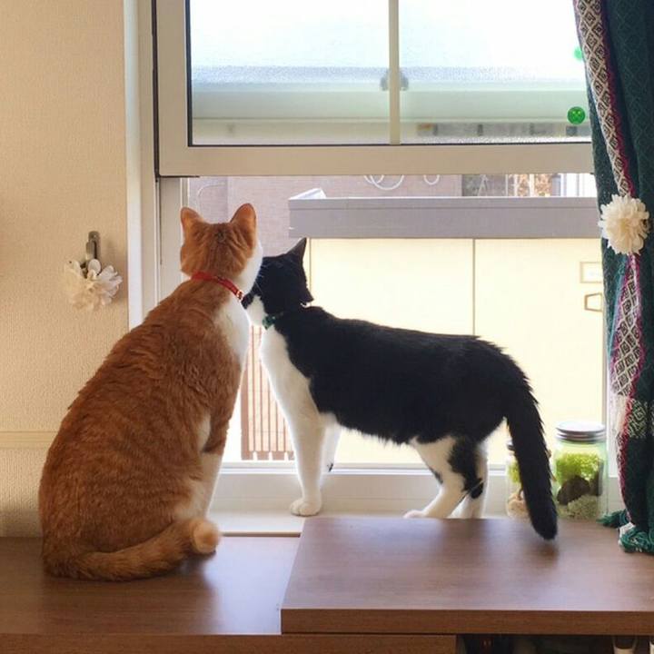 579fb1d0 3eef 47bc aa1e 47600970501a