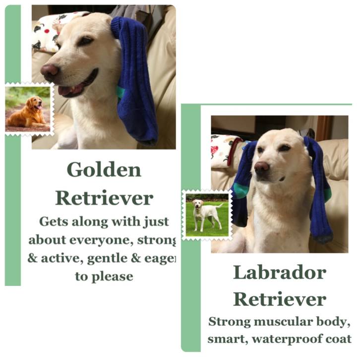 57a04eb2 ad30 4b23 a6a7 6dd71a03f325