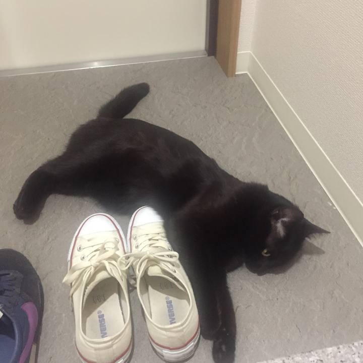 57a0a6cd 8e64 4c9c 9e12 a1790c580b6c