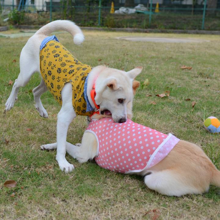 57a10f9c a112 40a9 8916 9d544b85041c