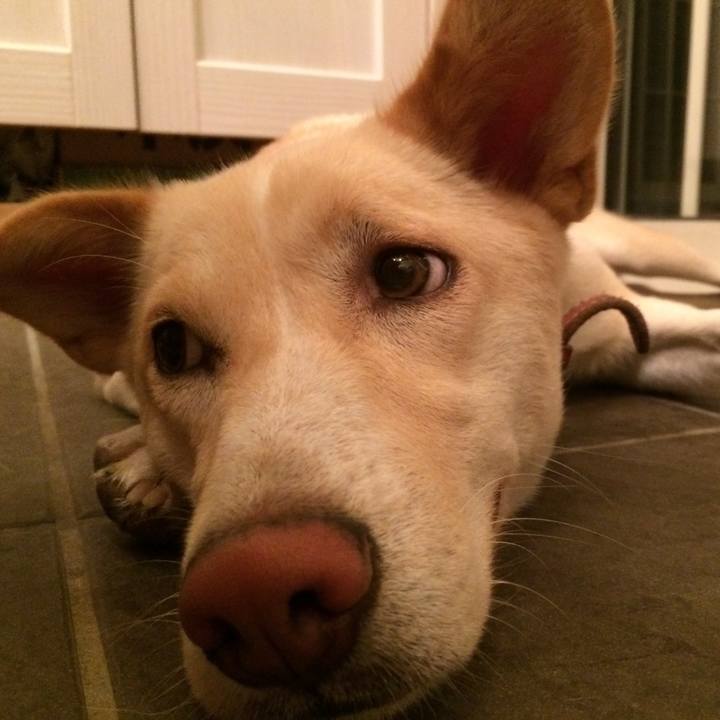 57a1962a 7536 4f8f bc58 bc61b2ef261c