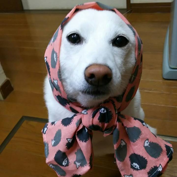 57a223a1 3423 4dcd 8600 9c1e445bfceb