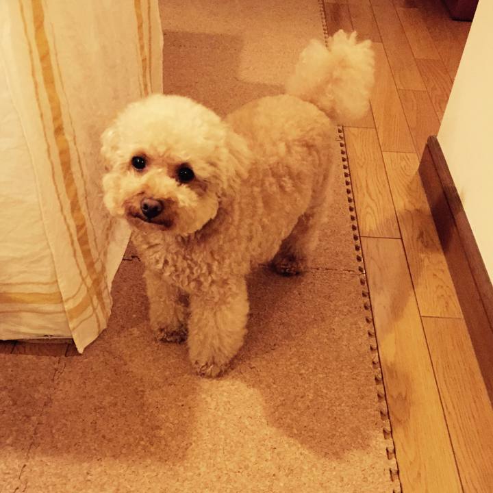 57a24492 5517 4e9c a9fd e7b7fa372618