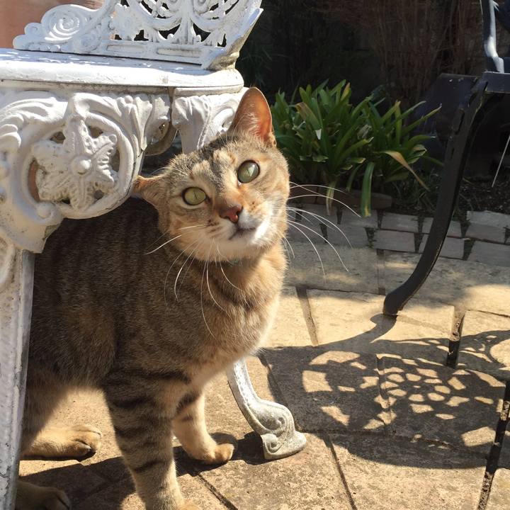 57a26c03 87a3 49e8 a09e 42b5da533956