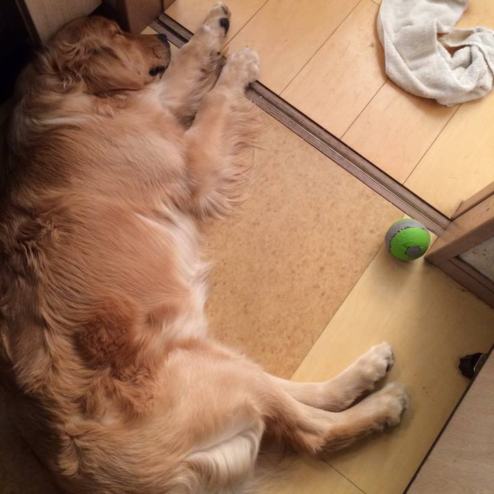 57a2c02a c097 4e2a a651 d9e1b4674415