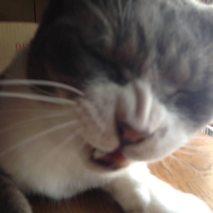 57a32021 cd5e 4c6e 8bee 295eeb87b834