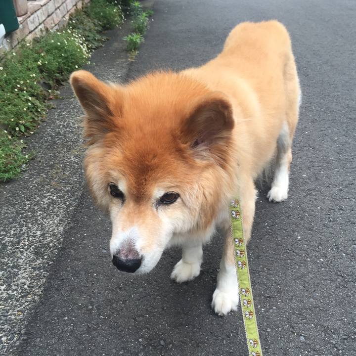 57a37501 2bb9 4f70 946e 89e96e824f7e