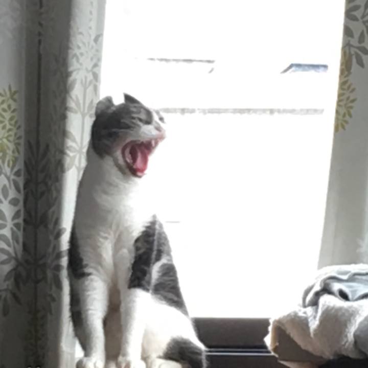 57a3d641 9aa7 4af1 9334 fb797d2a965e