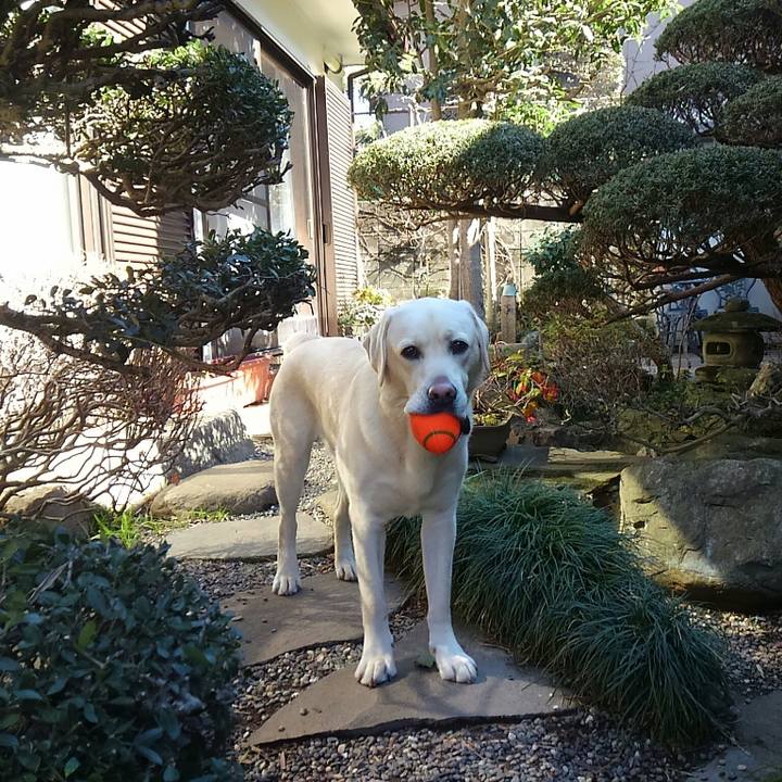 57a3e813 66b0 46c0 a274 77499bab4507