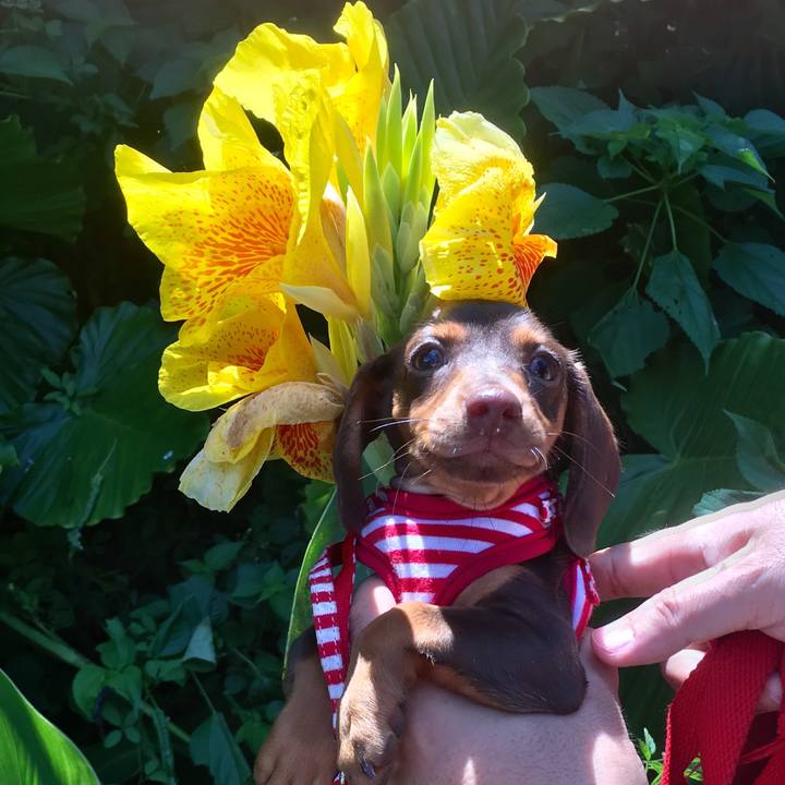 57a6cde3 2640 4630 a8af d77c3785bc78