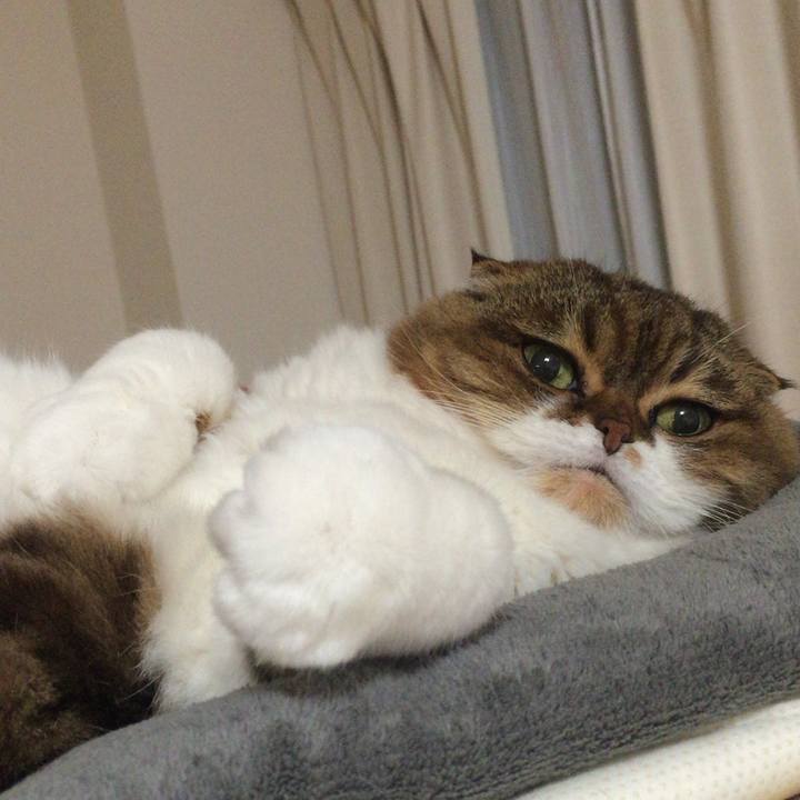 57a6f421 cb21 417d 904c 35d9eb4da898