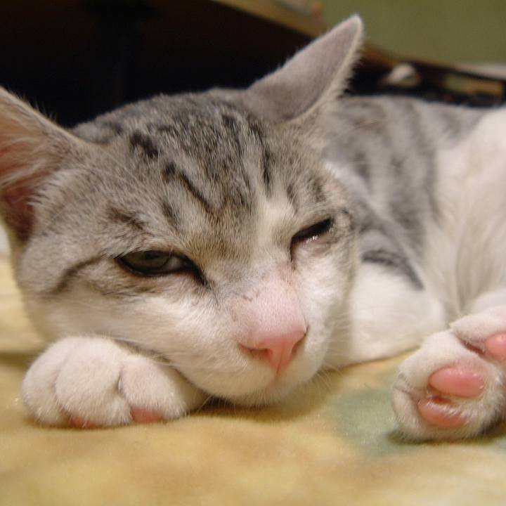 57a7dbf1 f3f9 40d8 9979 1a42da8f2948