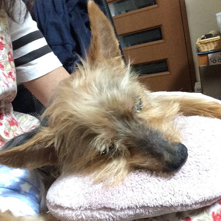 57a7e519 d0b0 4a2e 818e 05b80e94e04f