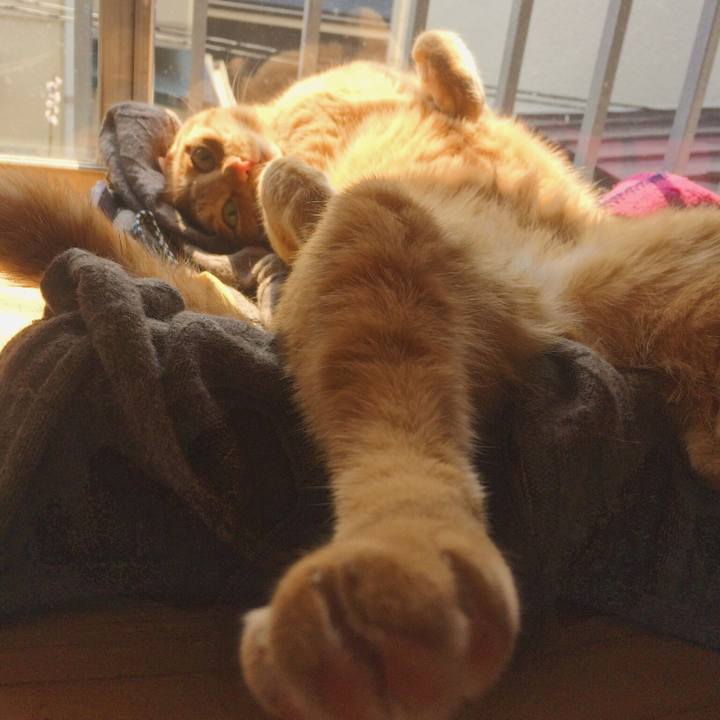 57a7f002 84d0 4d68 87b7 1421ef50ac64