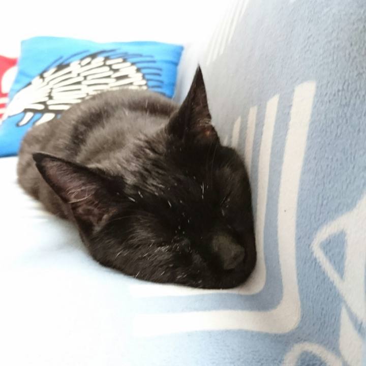 57a7fabb b33a 4588 87e2 cdb89ca96817