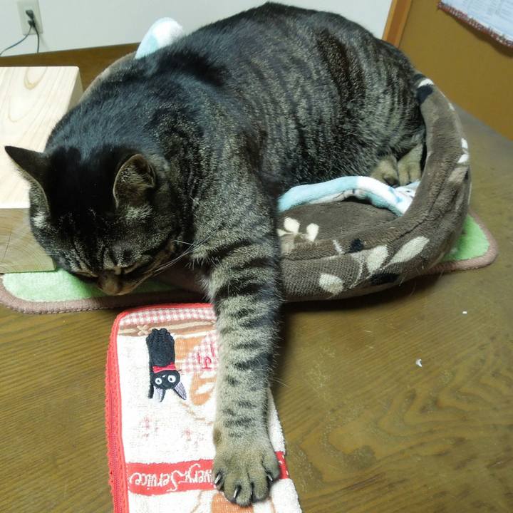 57a836a9 b2fa 4ba6 89ad 906de97291c6