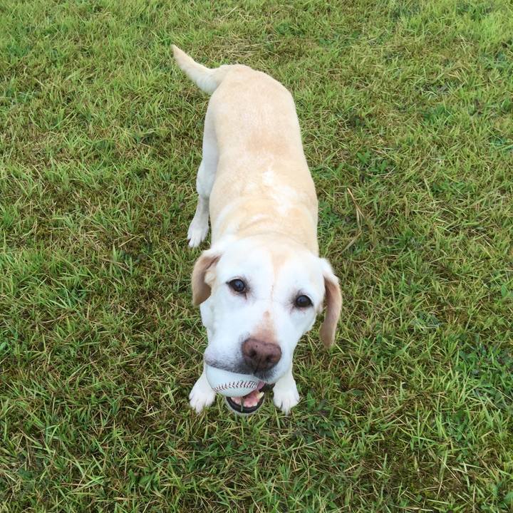 57a8b26c 730a 4b3b 8bf5 c2991dd062ed