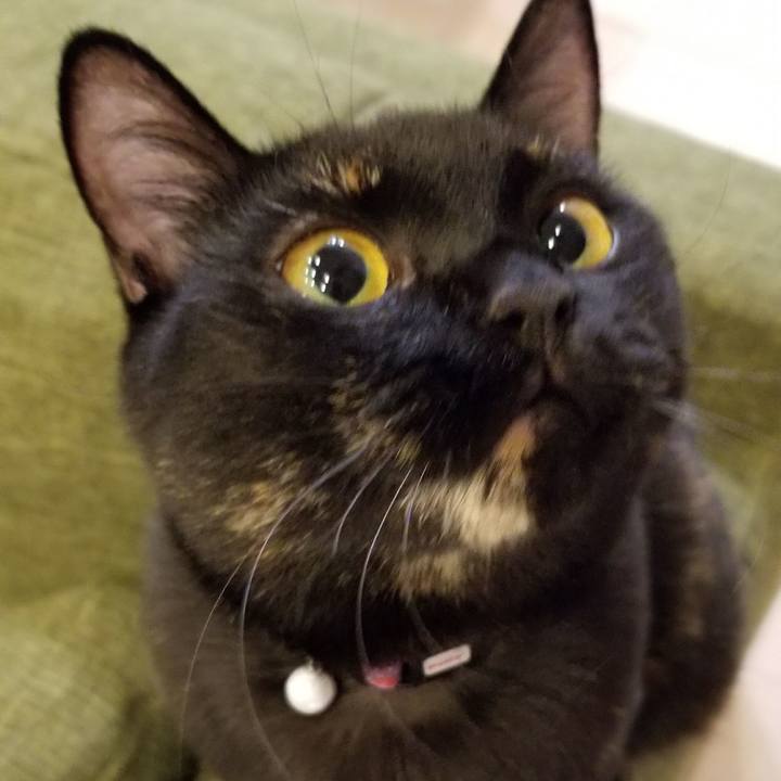 57a949a4 3059 4673 b30f 67a19420c8d5