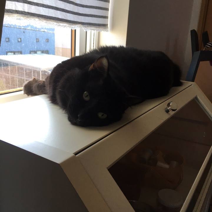 57a99757 5ea3 4ff4 b6e8 50adddfcf1f5