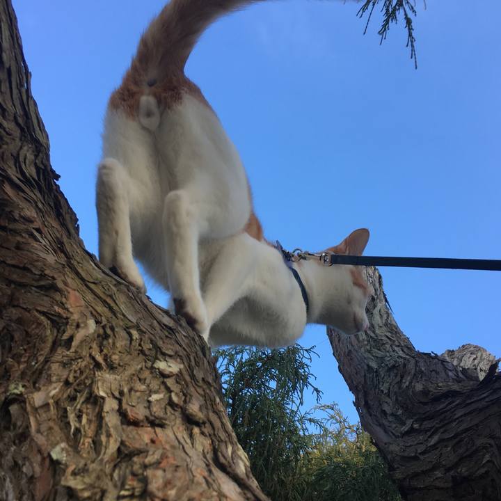 57aaabd4 3733 4272 9bda 631f38c03faf