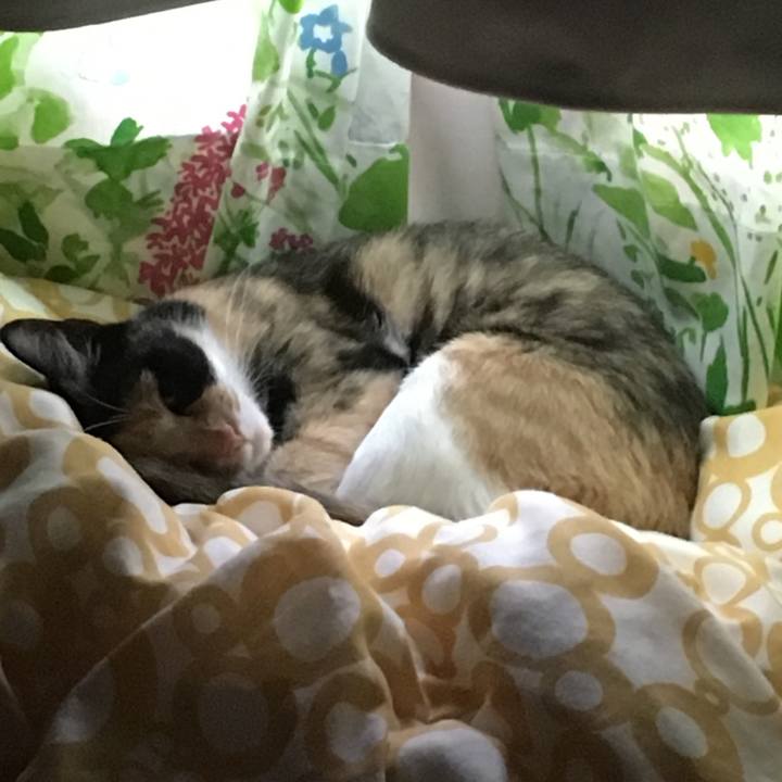 57ab6c13 2d79 46b9 9feb a570738cba50