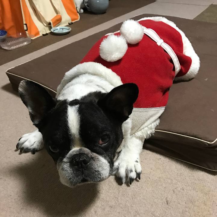 57ac553b caa2 4b8a a79f 36fa95f739c2