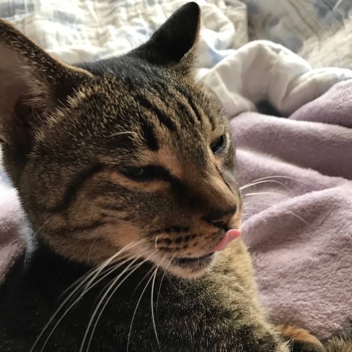 57ad6119 9094 4a01 800b 865865543750