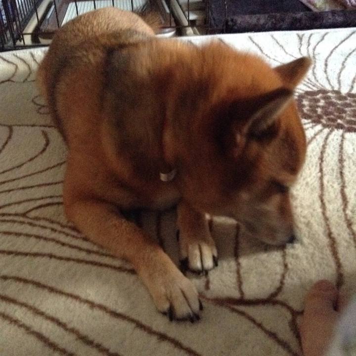 57adf997 5257 4b4b 9f51 a88975fc0686