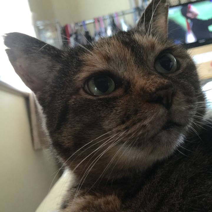 57ae5d2f 65bd 4bb2 a713 a16141c9e4fa