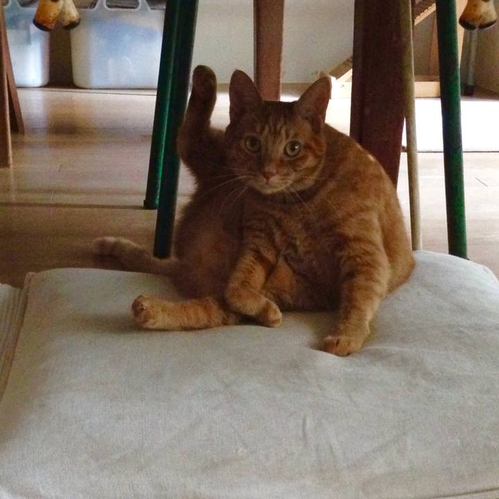 57ae63b7 29dc 4ecd 9a4f b341beb73eaf