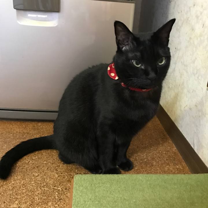 57affb2a 7c33 4b61 a636 9fbaf4e17212