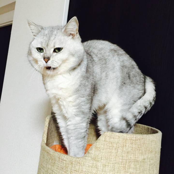 57b19873 a8ae 487b 943e 4094266827d1