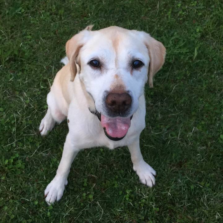 57b1ac97 89a0 4b4f b01b 2290066c45cb