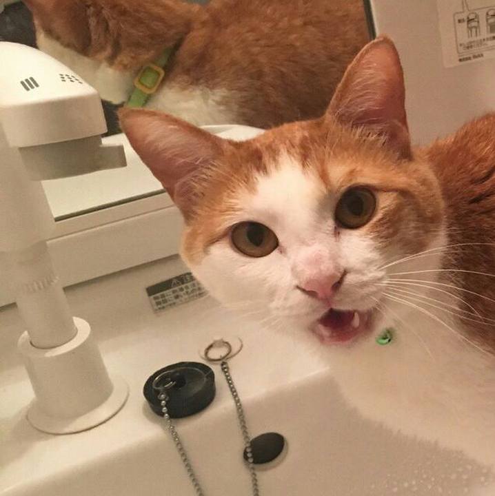 57b201fa 7f01 4cc2 b26b 41b111e1ebef