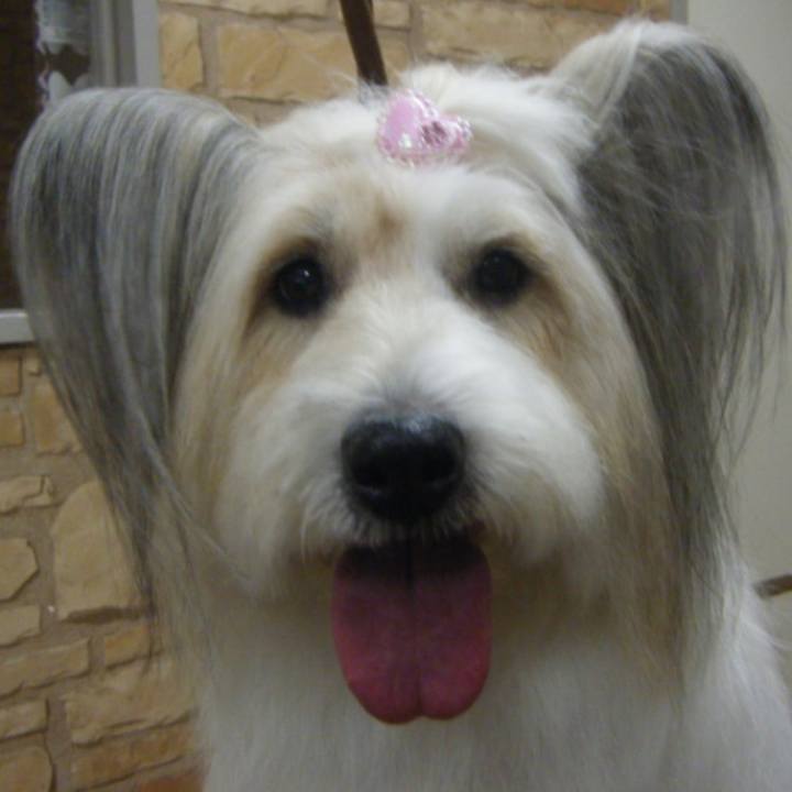 57b20455 1ca9 4c72 88b5 22067be27d02