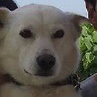 57b32125 d97a 49ed adb8 47a4924e3e1b