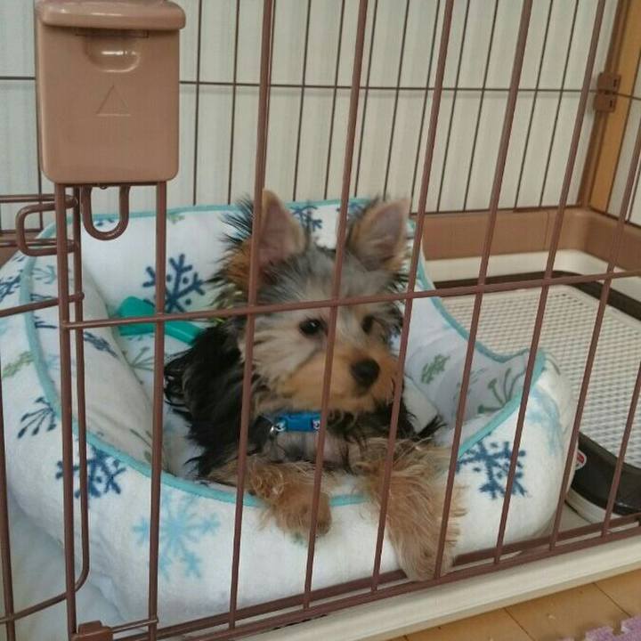 57b33df3 3085 4983 812c 209d5c93662a