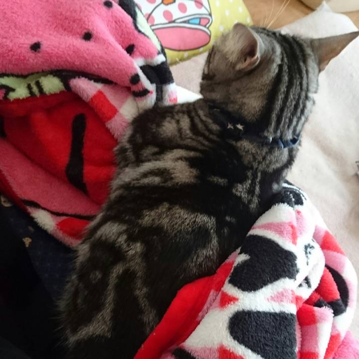 57b40423 26f6 4f70 8415 6807be4ae803