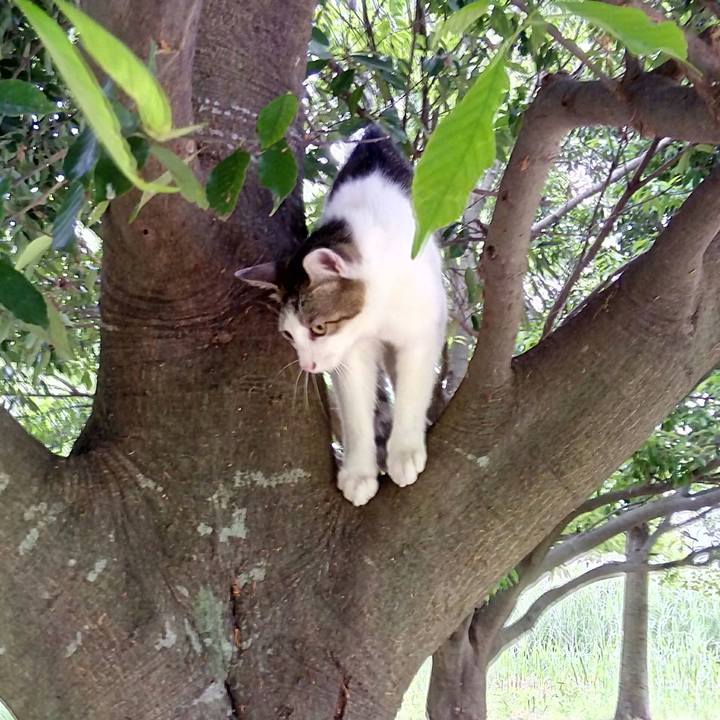 57b48ca9 9a9d 463a 87b9 b77a151325c6