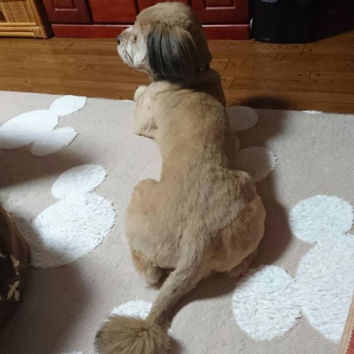 57b5a796 3457 4f9c 8f06 916a9cd6f86e