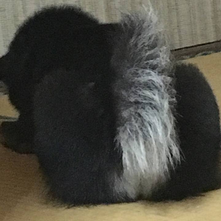 57b5b84f 75cc 4d31 a729 aca761ae2648