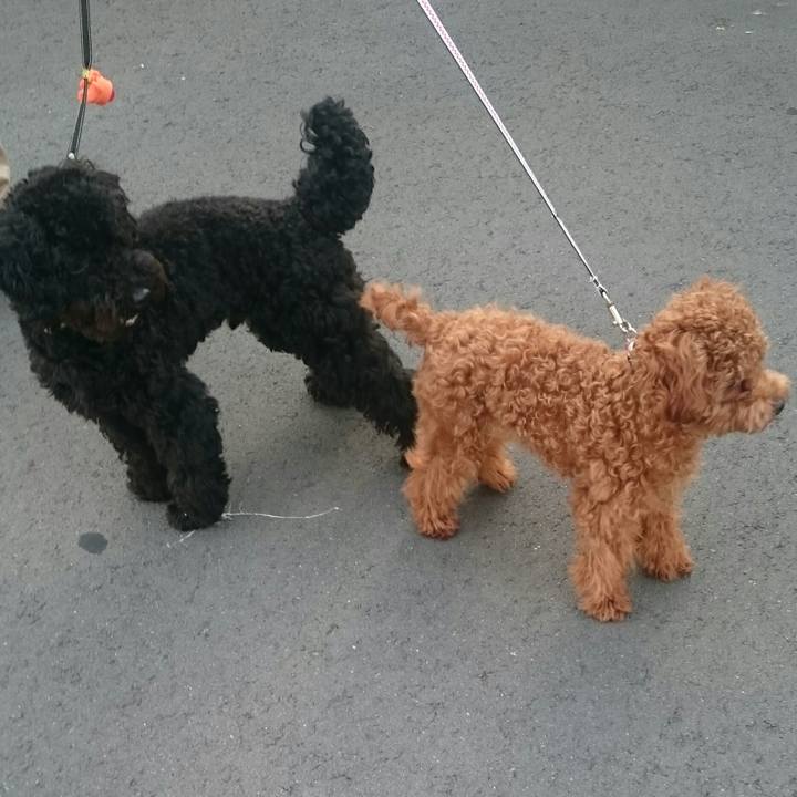 57b5f905 77ce 4571 a7a6 9b663793afc5