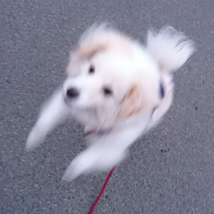 57b6a83e c172 4fdb 995b f28be093bbe8