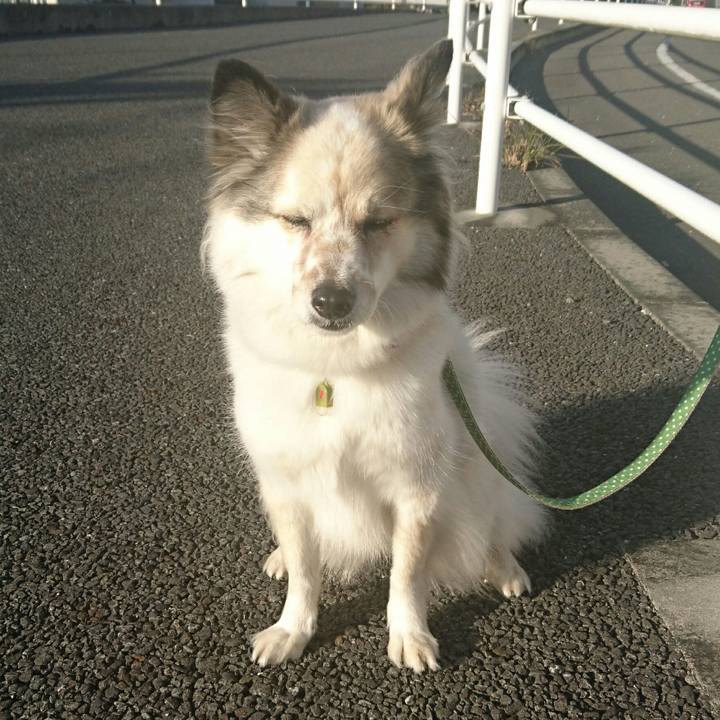 57b77905 5df9 4bd8 acaa 77efcdd1a227