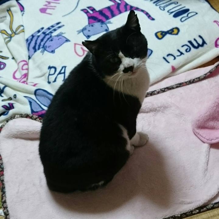 57b7e678 617d 4ece 87b2 75794e0ebf6e