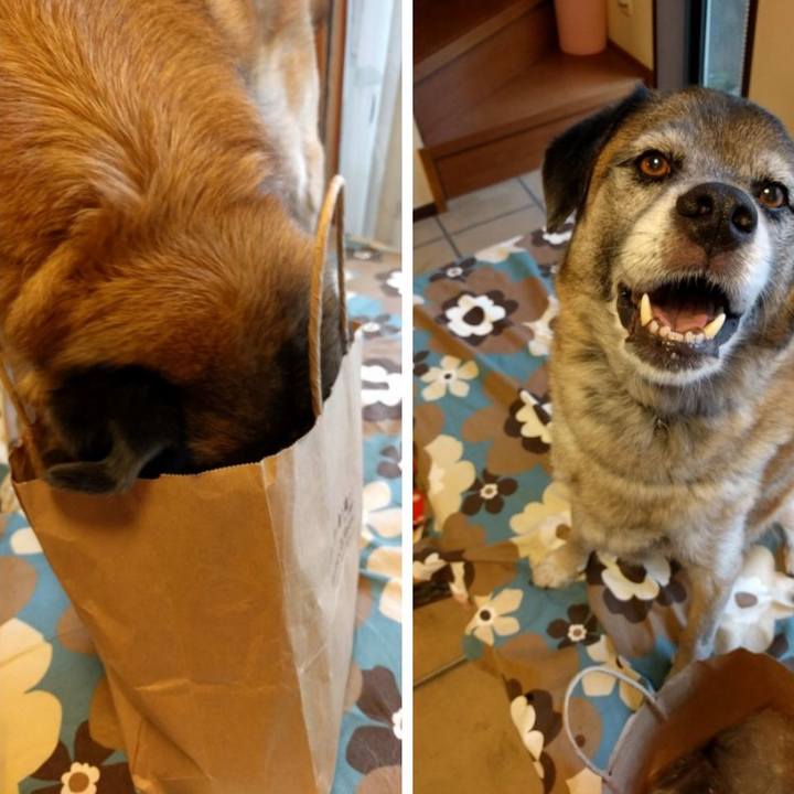 57b851e3 5258 4d83 b160 f965476ab5af