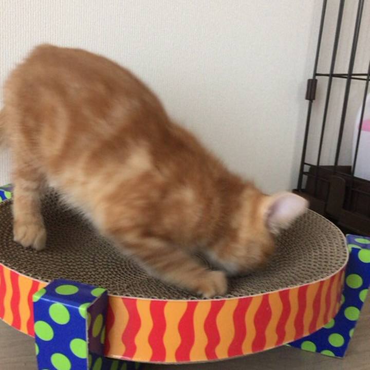 57b8b8a9 543e 4874 9662 d7fd4437b0be