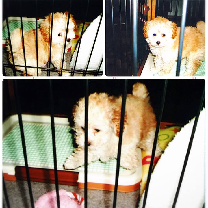 57b8c291 d748 4829 bc7d f5c54d51601f